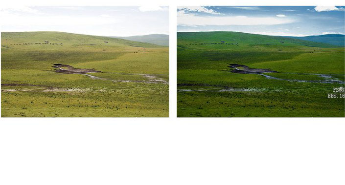 涨知识！如何开启Camera Raw?_www.16xx8.com